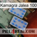 Kamagra Jelly 100 20